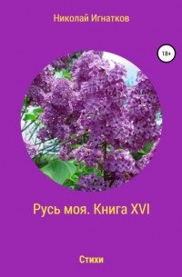 Николай Викторович Игнатков - Русь моя. Книга 16