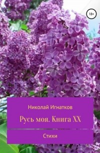 Николай Викторович Игнатков - Русь моя. Книга 20
