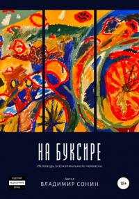 Владимир Сонин - На буксире