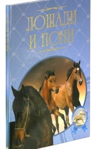 В. М. Жабцев - Лошади и пони