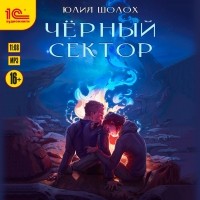 Юлия Шолох - Чёрный сектор