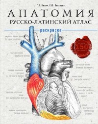  - Анатомия: русско-латинский атлас-раскраска