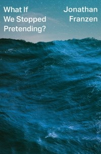 Jonathan Franzen - What If We Stopped Pretending?