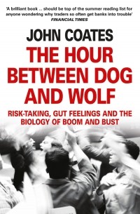 The Hour Between Dog And Wolf: Risk-taking, Gut Feelings and the Biology of Boom and Bust