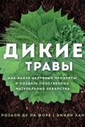 Дикие травы: как найти целебные продукты и создать собственные натуральные лекарства