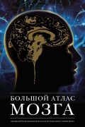 Большой атлас мозга