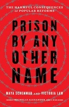  - Prison by Any Other Name: The Harmful Consequences of Popular Reforms
