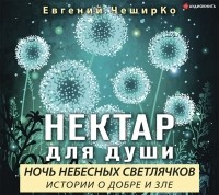 Евгений ЧеширКо - Ночь Небесных Светлячков. Истории о добре и зле (сборник)