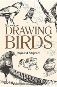 Raymond Sheppard - Drawing Birds