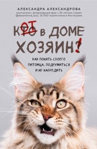 Кот в доме хозяин! Как понять своего питомца, подружиться и не навредить