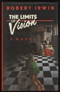 The Limits of Vision