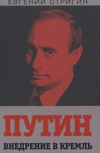 Евгений Стригин - Путин. Внедрение в Кремль