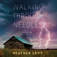Хизер Леви - Walking Through Needles
