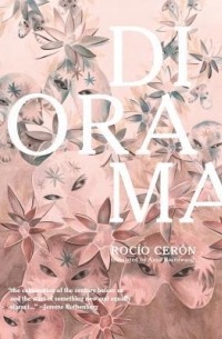 Rocío Cerón - Diorama