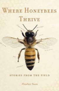 Where Honeybees Thrive: Stories from the Field