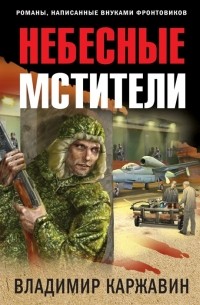 Небесные мстители