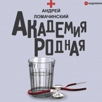 Андрей Ломачинский - Академия родная