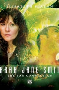 Бэрри Леттс - Sarah Jane Smith: The Tao Connection