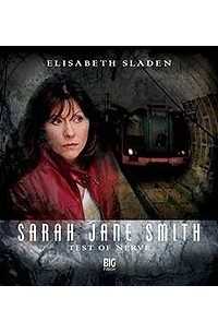 David Bishop - Sarah Jane Smith: Test of Nerve