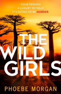 Phoebe Morgan - The Wild Girls