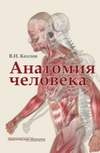 В. И. Козлов - Анатомия человека. Учебник для медицинских вузов