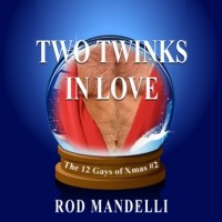 Род Манделли - Two Twinks In Love - 12 Gays of Xmas, book 2
