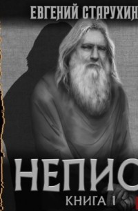 Евгений Старухин - Непись. Книга 1