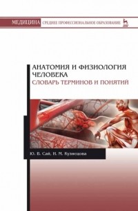 Н. М. Кузнецова - Анатомия и физиология человека. Словарь терминов и понятий