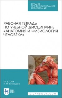 Н. М. Кузнецова - Рабочая тетрадь по учебной дисциплине «Анатомия и физиология человека»