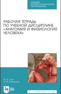 Н. М. Кузнецова - Рабочая тетрадь по учебной дисциплине «Анатомия и физиология человека»