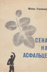 Міхась Стральцоў - Сена на асфальце (сборник)