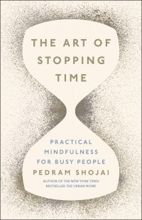 Педрам Шоджай - The Art of Stopping Time