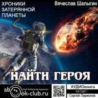 Вячеслав Шалыгин - Хроники затерянной планеты-2. Найти героя