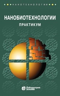 Андрей Рубин - Нанобиотехнологии. Практикум