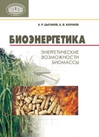 А. Р. Цыганов - Биоэнергетика. Энергетические возможности биомассы