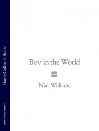 Нейл Уильямс - Boy in the World