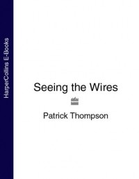 Patrick  Thompson - Seeing the Wires