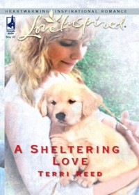Terri  Reed - A Sheltering Love