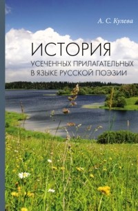 История усеченных прилагательных в языке русской поэзии