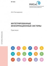 А. Н. Гончаренко - Интегрированные информационные системы. Практикум