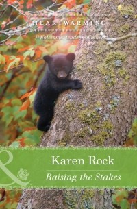 Karen  Rock - Raising the Stakes