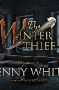 Winter Thief