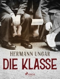 Hermann  Ungar - Die Klasse