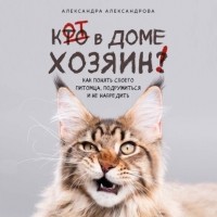 Александра Александрова - Кот в доме хозяин! Как понять своего питомца, подружиться и не навредить