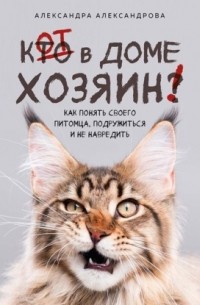 Александра Александрова - Кот в доме хозяин! Как понять своего питомца, подружиться и не навредить