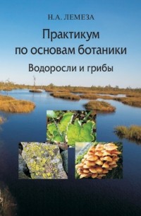 Николай Лемеза - Практикум по основам ботаники. Водоросли и грибы