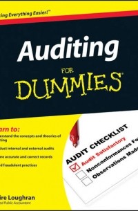 Auditing For Dummies