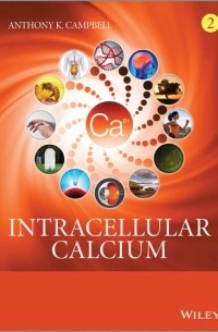 Intracellular Calcium