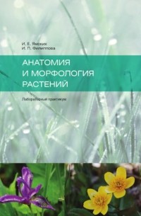 Ирина Филиппова - Анатомия и морфология растений