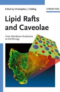 Lipid Rafts and Caveolae